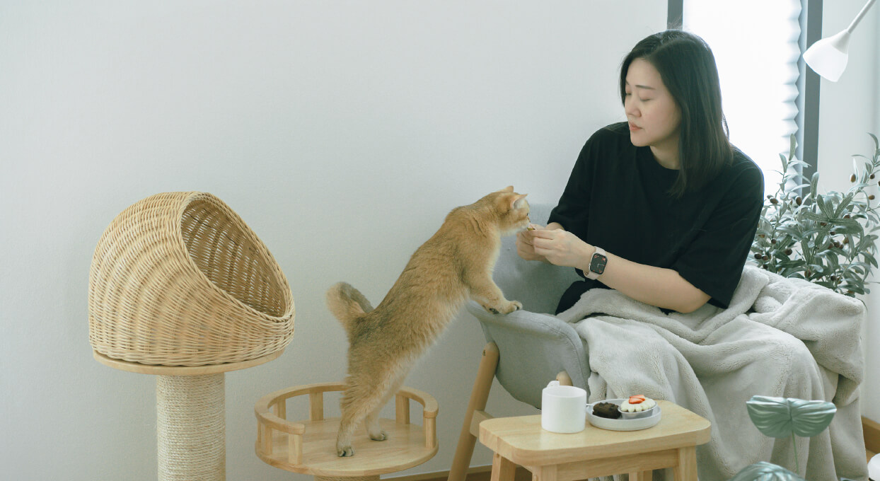 ペットが亡くなったらイメージ画像