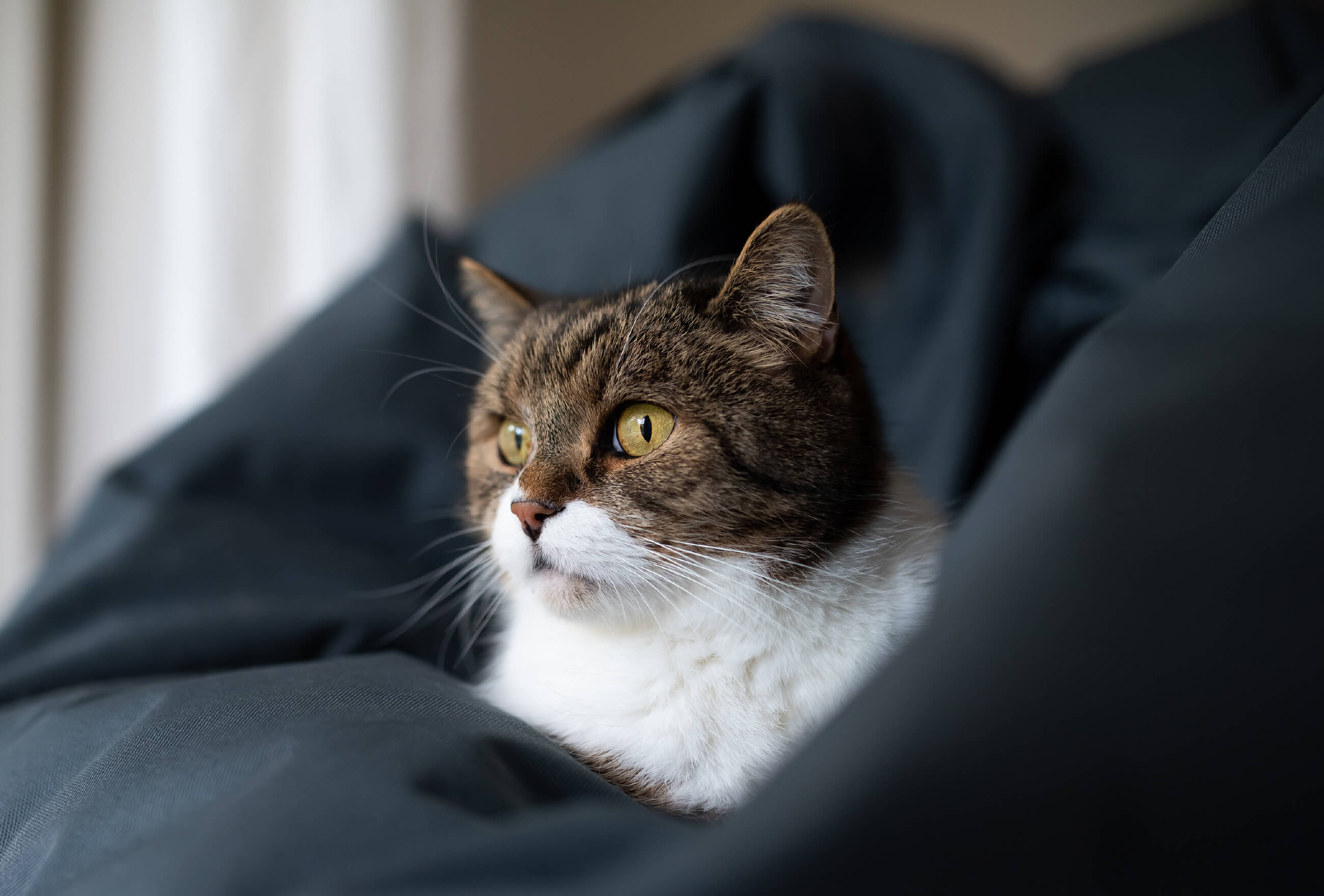 メインビジュアル画像2