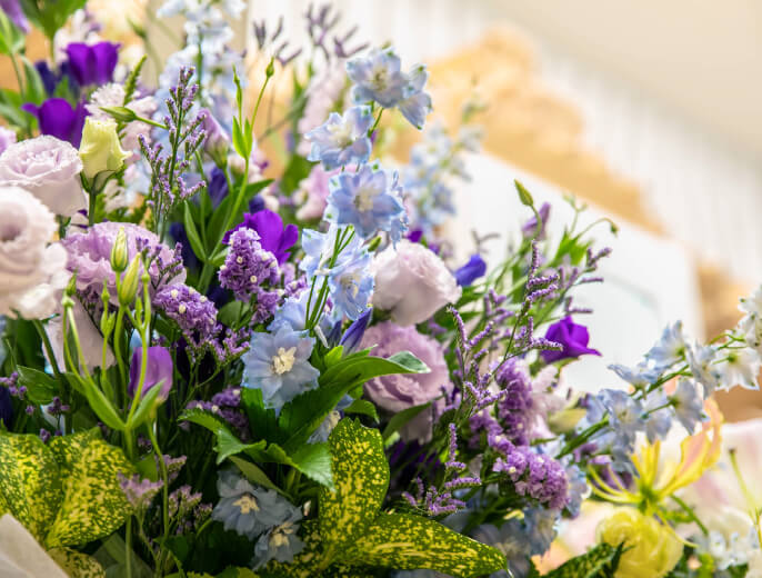 セレモニー火葬プラン