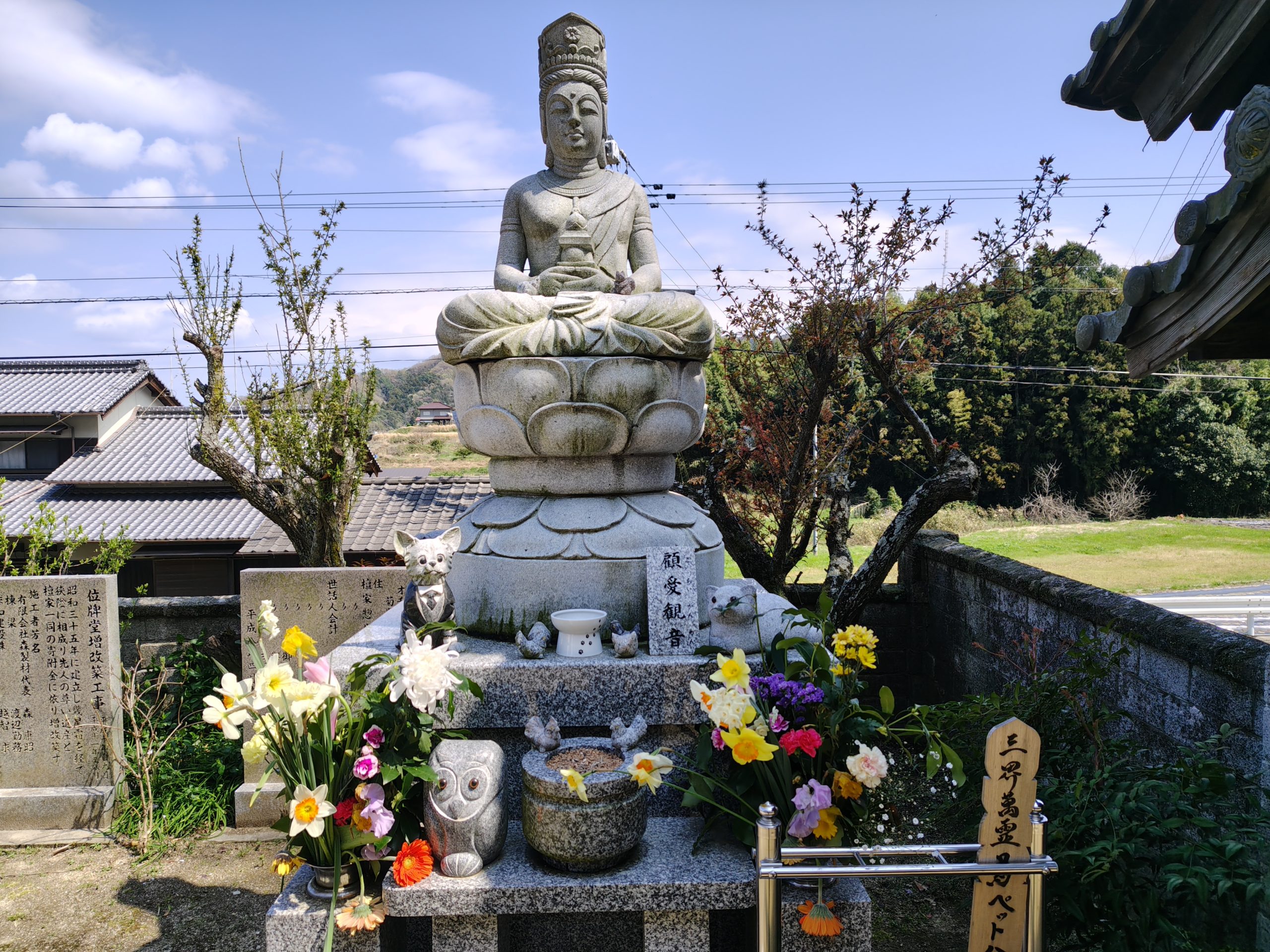 【とめちゃん・りょうまちゃん・ベルちゃん　合同納骨のご報告】